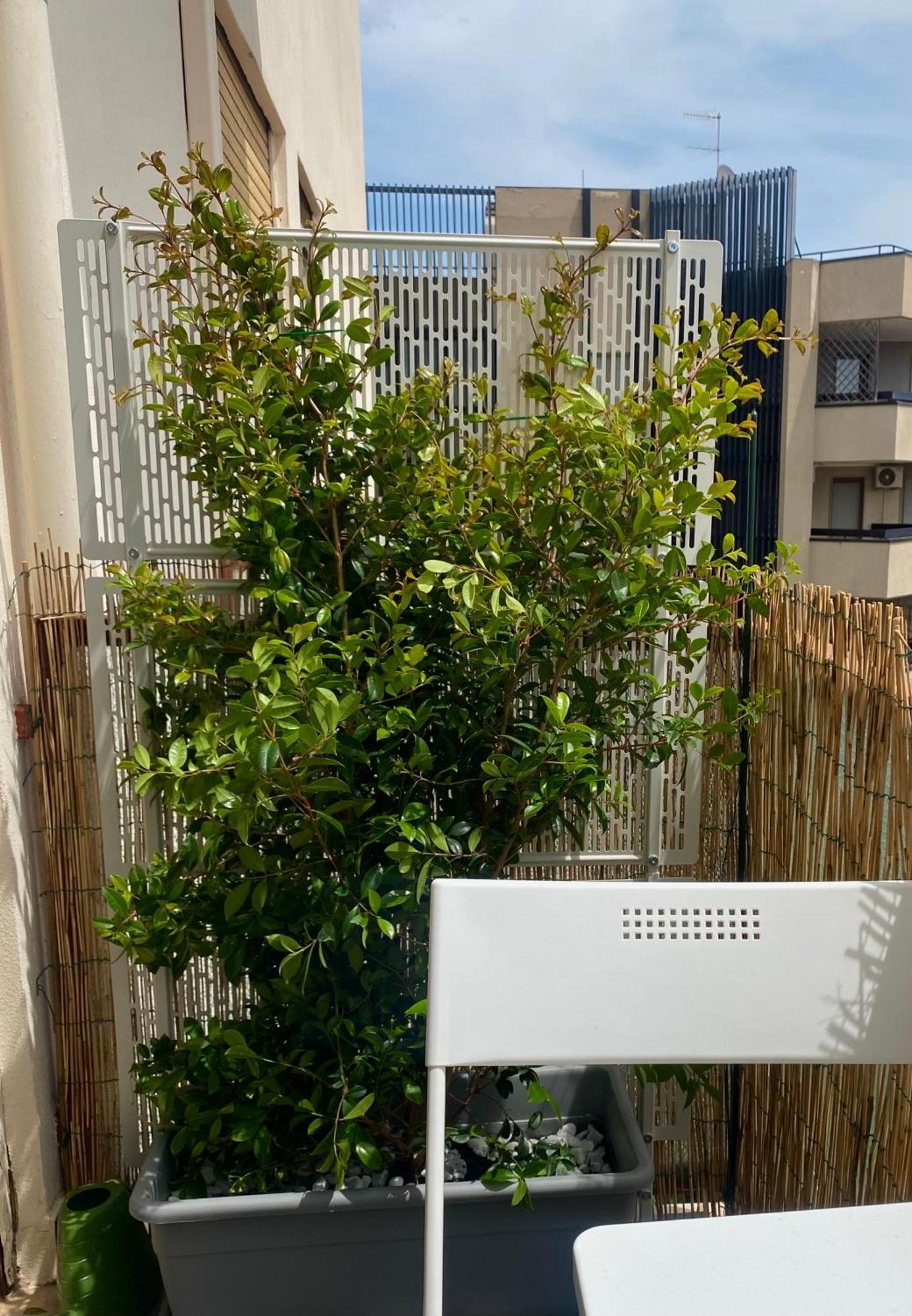Via Roma A Un Passo Dalle Universita! Sassari Zewnętrze zdjęcie
